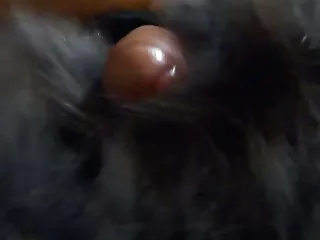 丰满的黑发手指乱搞像色情明星