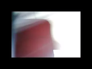 有令人敬畏的水壶的宝贝显示粉红色的猫